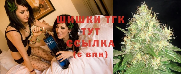 стафф Горняк