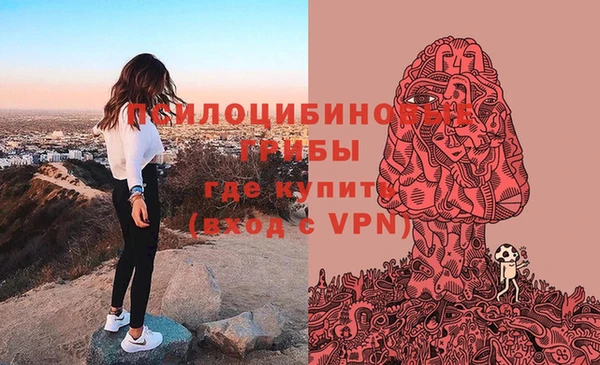 прущая мука Горно-Алтайск