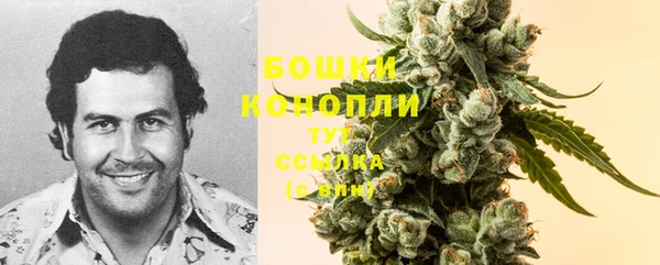 молекула духа Новодвинск